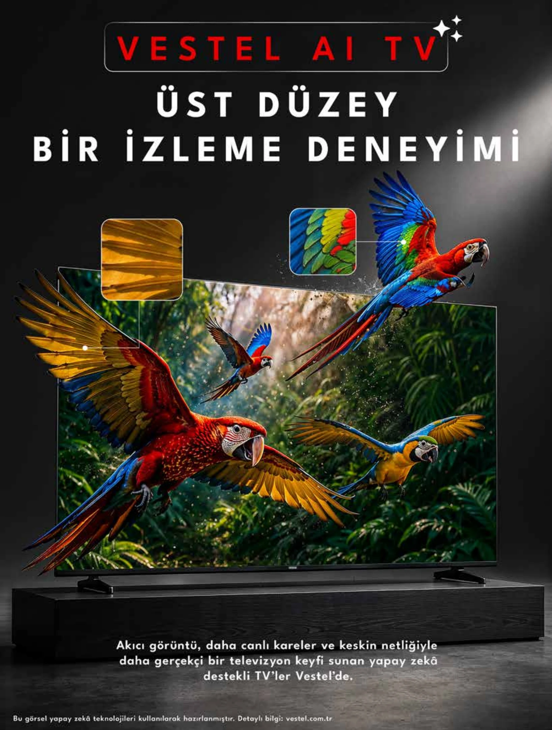 Vestel Tüketici Elektroniği Broşürü, 6. sayfa