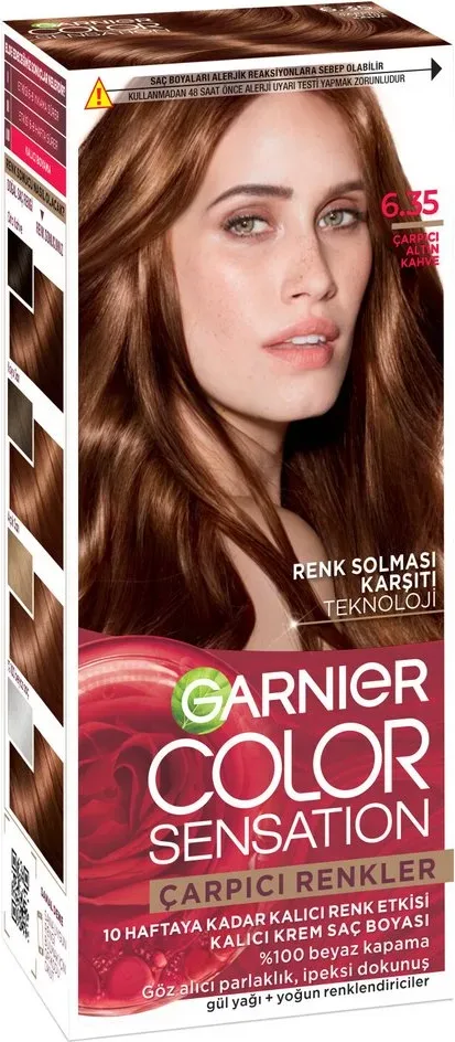 Garnier Carpici Renkler No 6.35